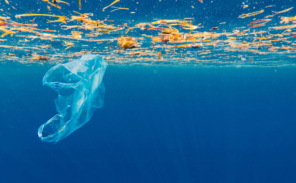 Chcesz być trendy? Bądź oszczędny!