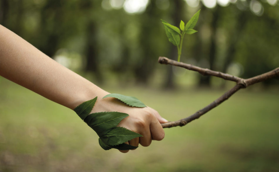 Zieleń dla wszystkich