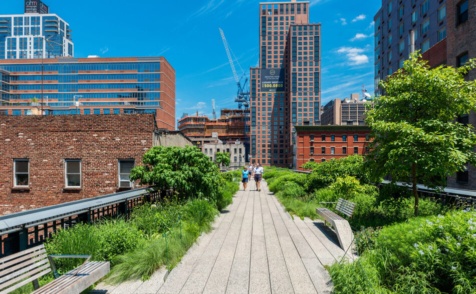 Sadźmy lasy. W mieście