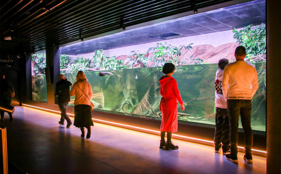 Od&nbsp;szuwarów po&nbsp;tropiki. Egzotarium zaprasza na&nbsp;spacer